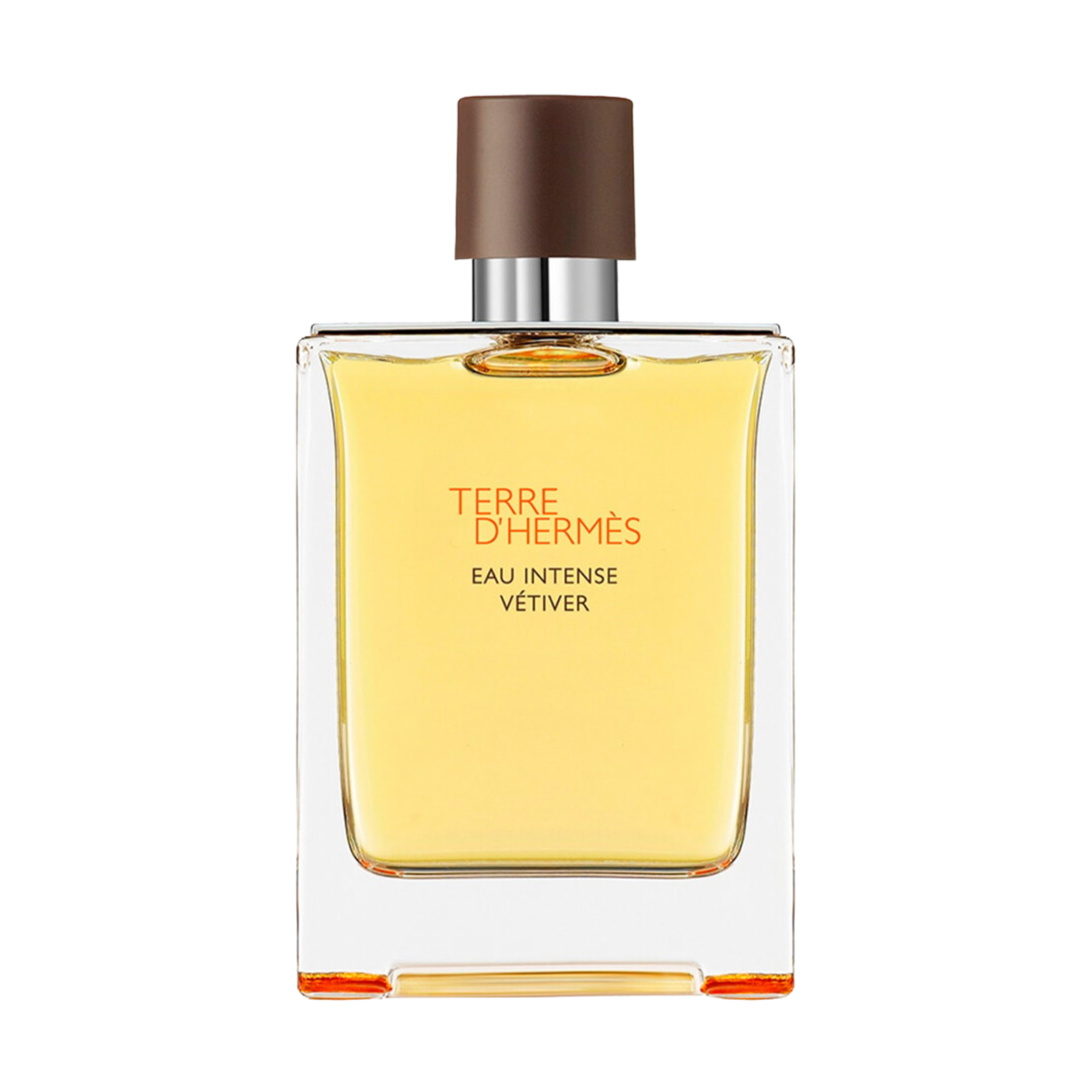 Hermes Terre d`Hermes Eau Intense Vetiver EDP 100 ml